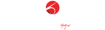 cropped-1200-switch-logo-and-stuff-1